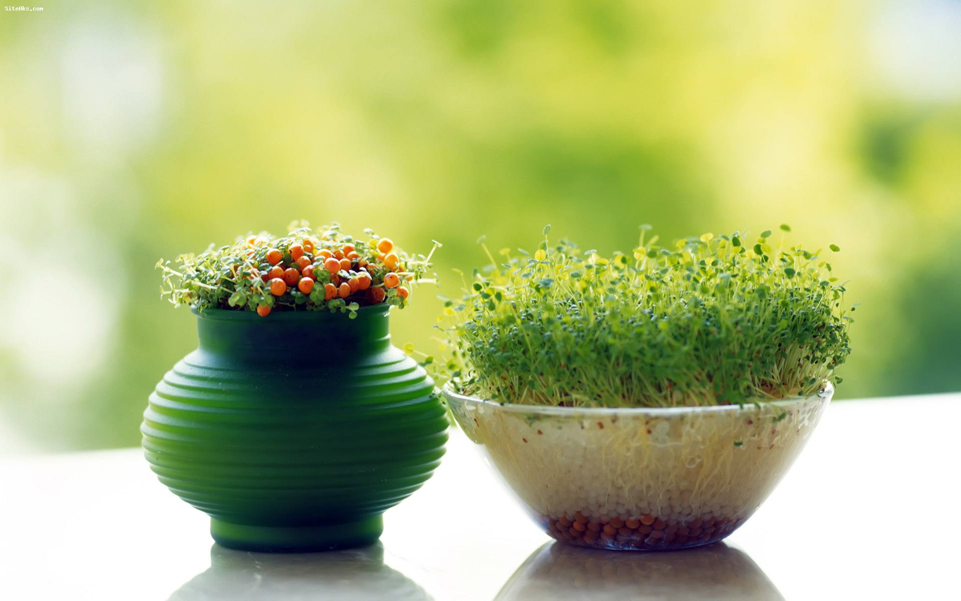 تبریک سال نو