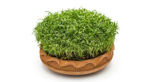 تبریک نوروز