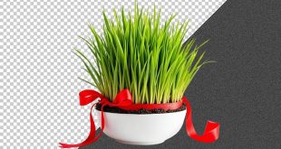 sms تبریک نوروز
